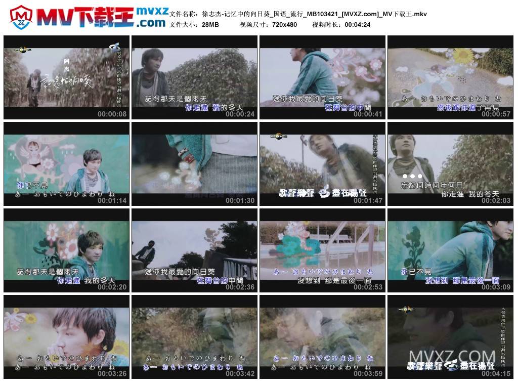 徐志杰-记忆中的向日葵_国语_流行_MB103421